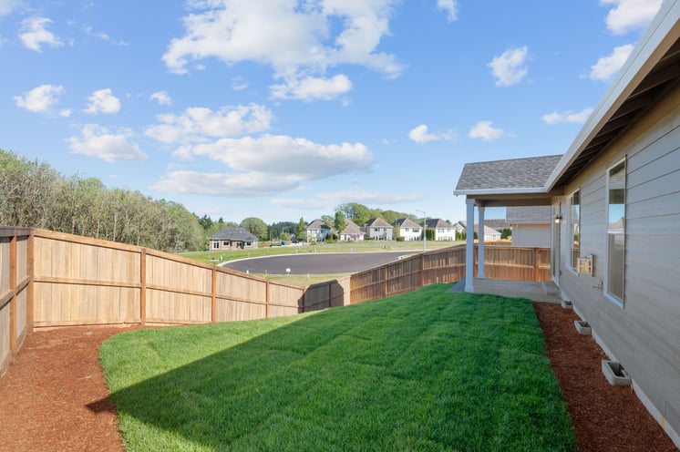 Lush green lawn in backyard