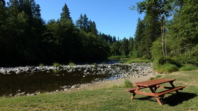 Beautiful wooden picnic table by the Lewis River in Lewisville Regional Park, Battle Ground, WA Medium