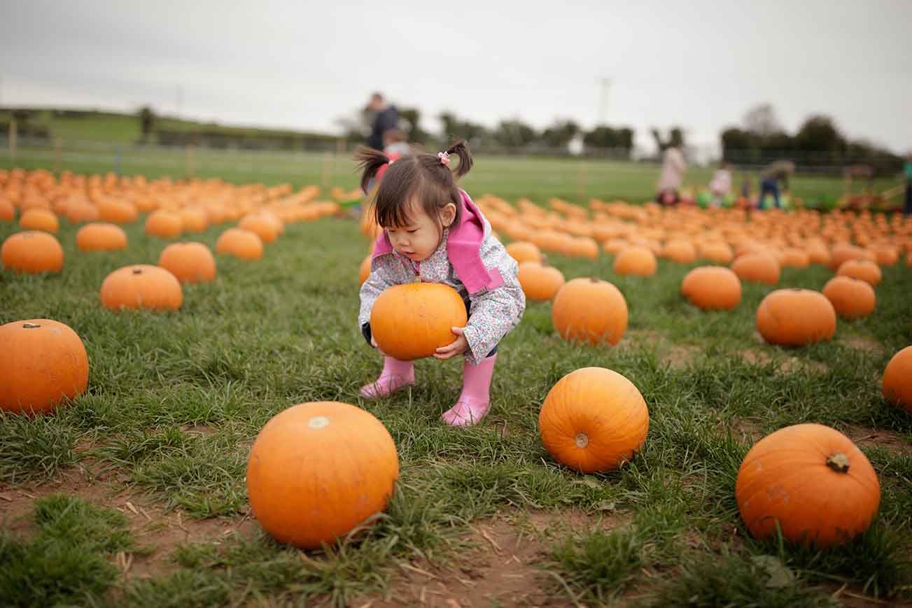 Little-Asian-girl-at-Oregon-pumpkin-patch-in-2021