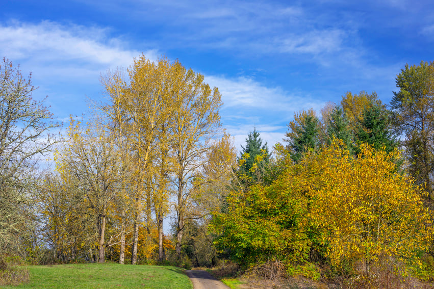 Willamette Mission State Park